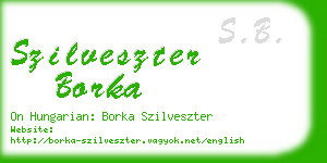 szilveszter borka business card